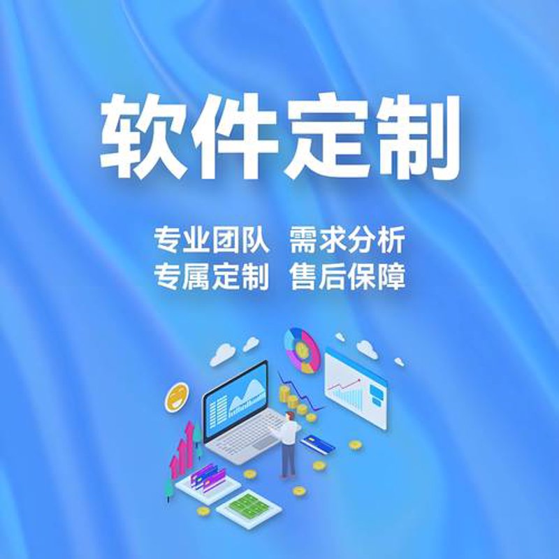 企业管理系统开发：构建高效运营的基石